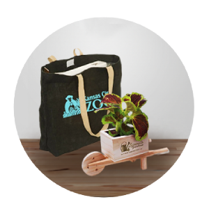 Corporate Giveaway Ideas Corporate Giveaway Ideas